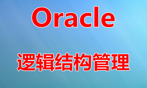 Oracle实战之逻辑结构管理视频课程