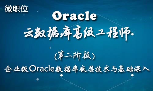 【Oracle辅导学习培训班】-企业级Oracle数据库底层技术与基础深入
