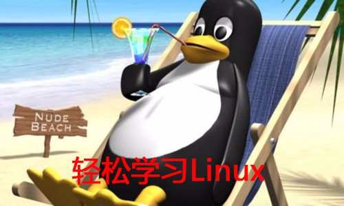 跟着Linux来一场说走就走的旅行【带课件资料】视频教程