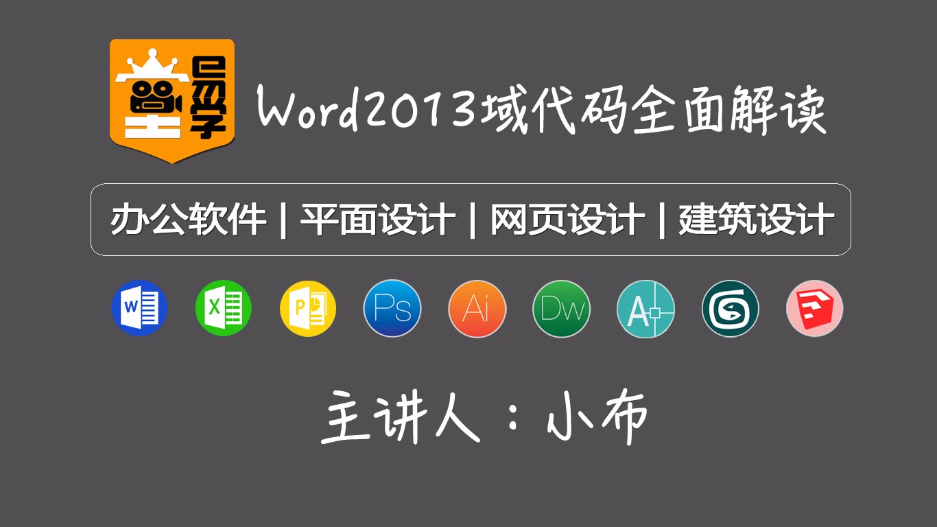Word2013域代码多面解读视频教程