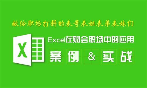 Excel在会计与财务职场中的应用实战视频教程