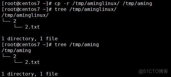 2.10-2.13 变量PATH，cp，mv，查看cat/more/less/head/tail_linux_15