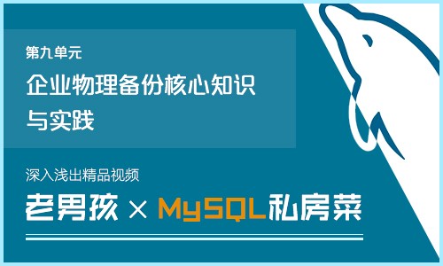 老男孩的MySQL私房菜深入浅出精品视频课程第9章-企业物理备份核心知识与实践精讲