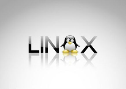实操Linux系统视频课程