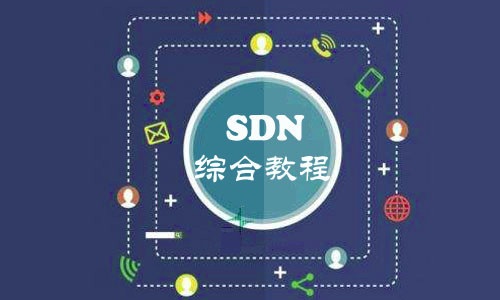 SDN综合视频教程