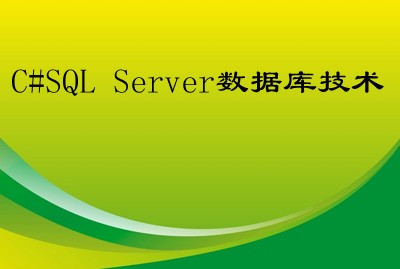 C#SQL Server数据库技术视频课程