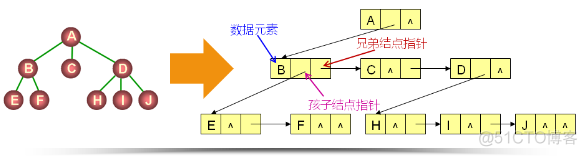 树到二叉树的转换（三十五）_双亲孩子_02