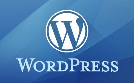 WordPress商业多站点配置教程
