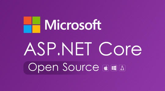 .net coreWeb项目实战