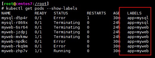 Kubernetes集群管理_运维_09