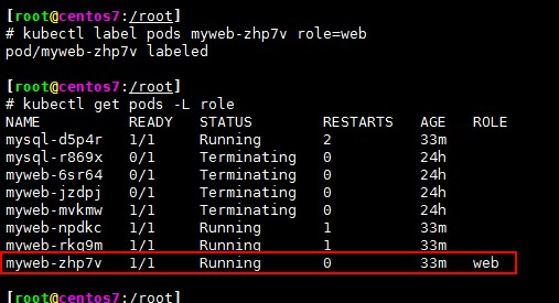 Kubernetes集群管理_集群_10