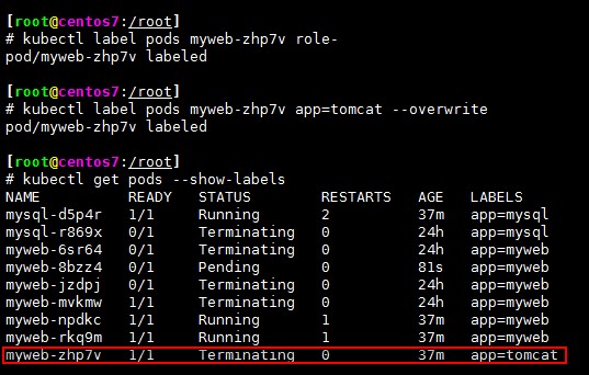 Kubernetes集群管理_运维_11