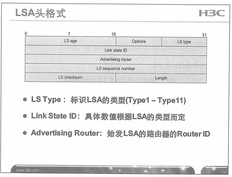 H3C 大规模网络路由技术 笔记_H3C 大规模_106