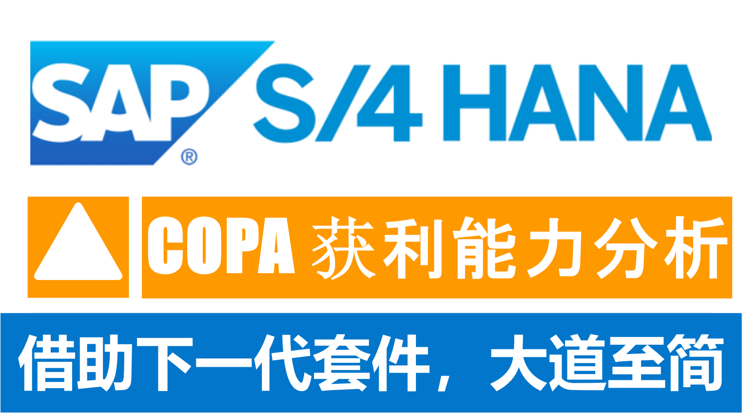 SAP S4 HANA FICO 获利能力分析