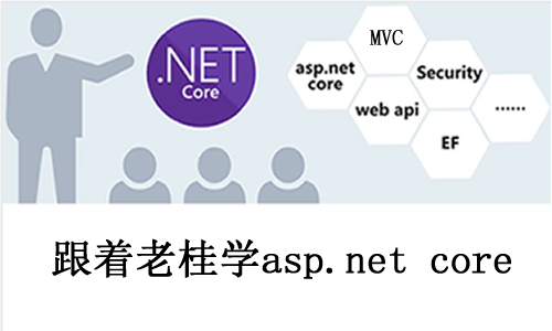 Asp.NET Core 2.0系列视频课程