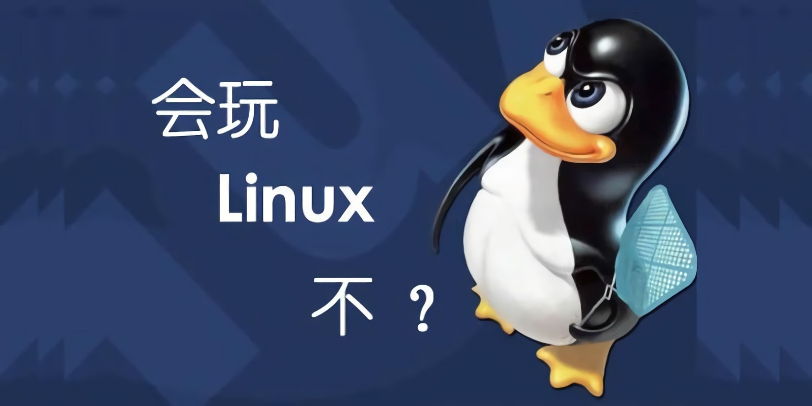 Kali与编程：开源Linux操作系统命令操作与系统使用入门与提升课程