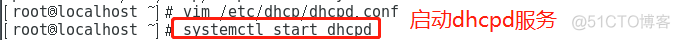 综合实验——（二层交换，三层交换，路由器，dhcp+dns，web服务）_三层交换 静态路由 DHCP dns_20