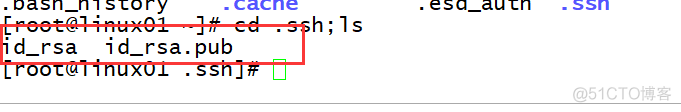 Linux的SSH服务之密钥验证登陆_Linux_06