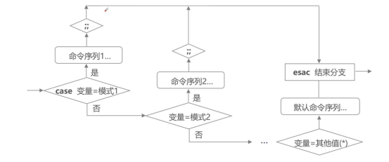 shell编程——case多分支及循环语句（包含操作实验）_case 循环语句