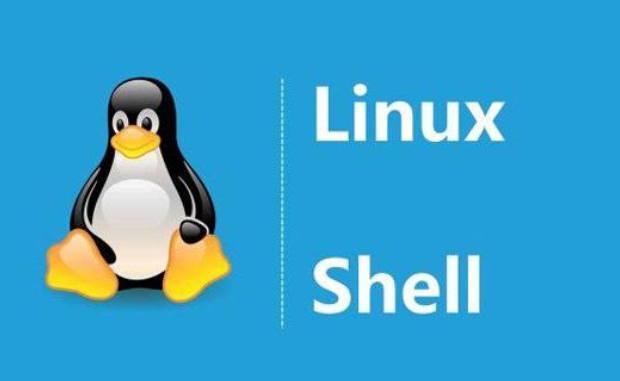 Kali与编程：开源Linux操作系统命令操作学习及其Shell脚本语言编程学习