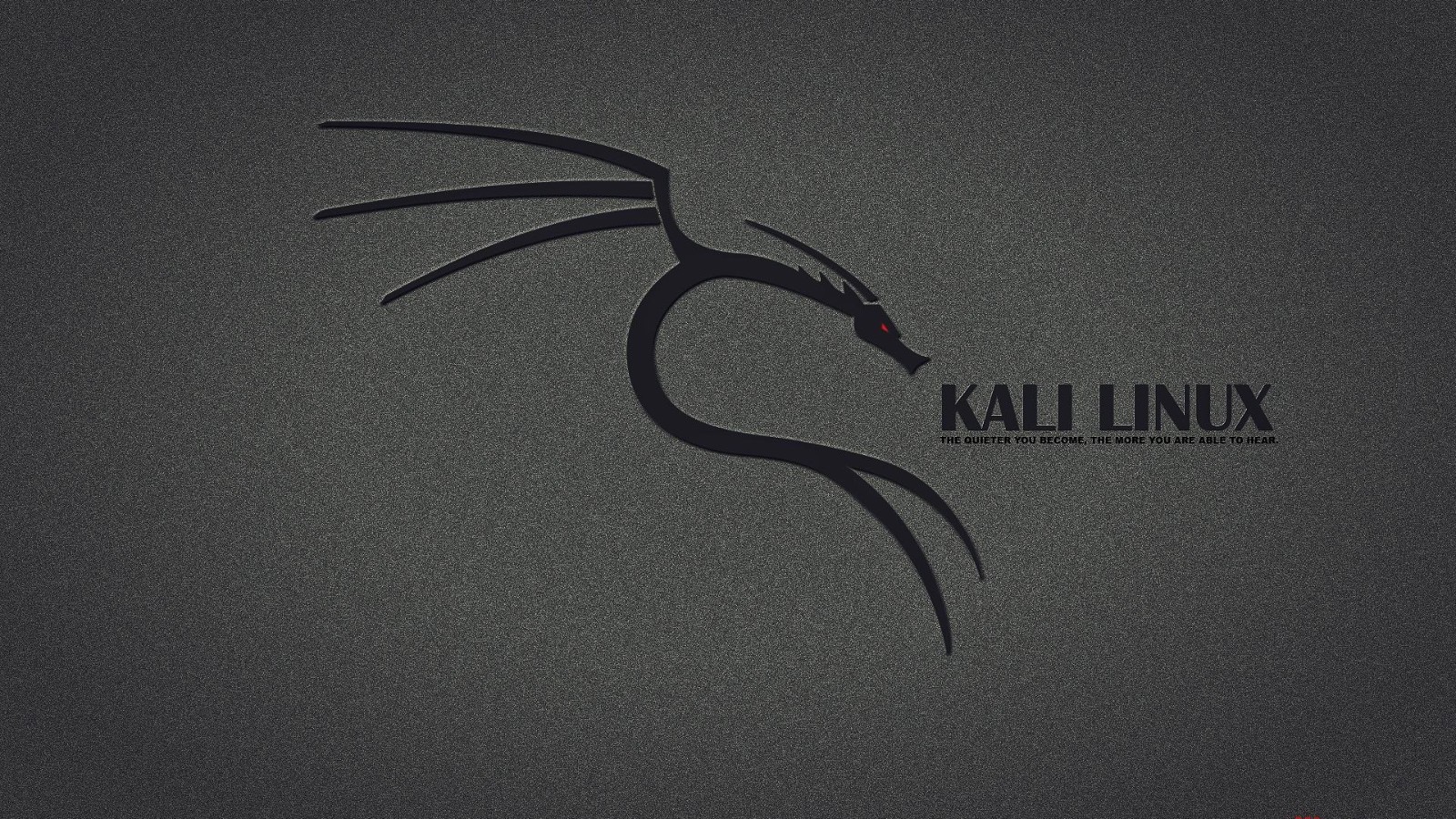 Kali Linux渗透测试环境搭建与基础学习技巧