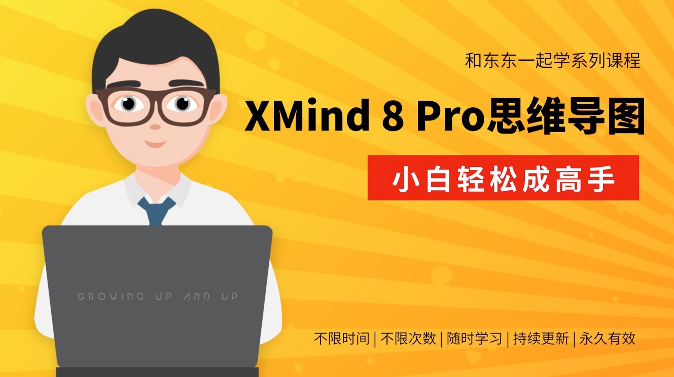 和东东老师一起学系列—XMind 8 Pro思维导图就该这样学（小白轻松成高手）