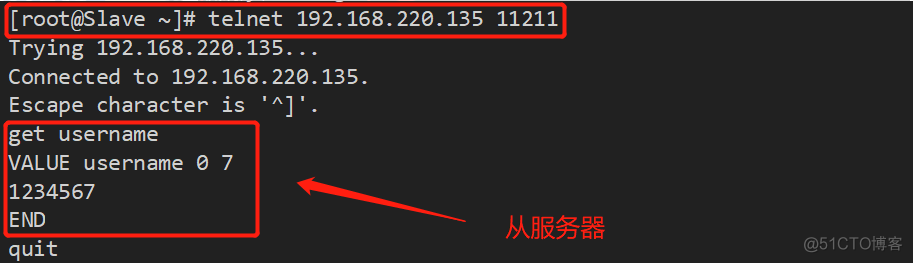 Memcached高可用集群——keepalived_memcached magent _08