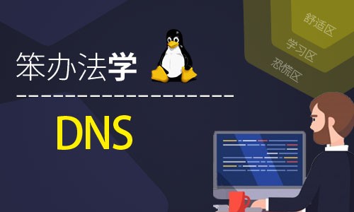 笨办法学Linux DNS (原理、实践、记录与排错)-视频课程