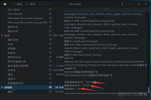 深度操作系统DeepinLinux v20垃圾清理软件bleachbit_bleachbit_09