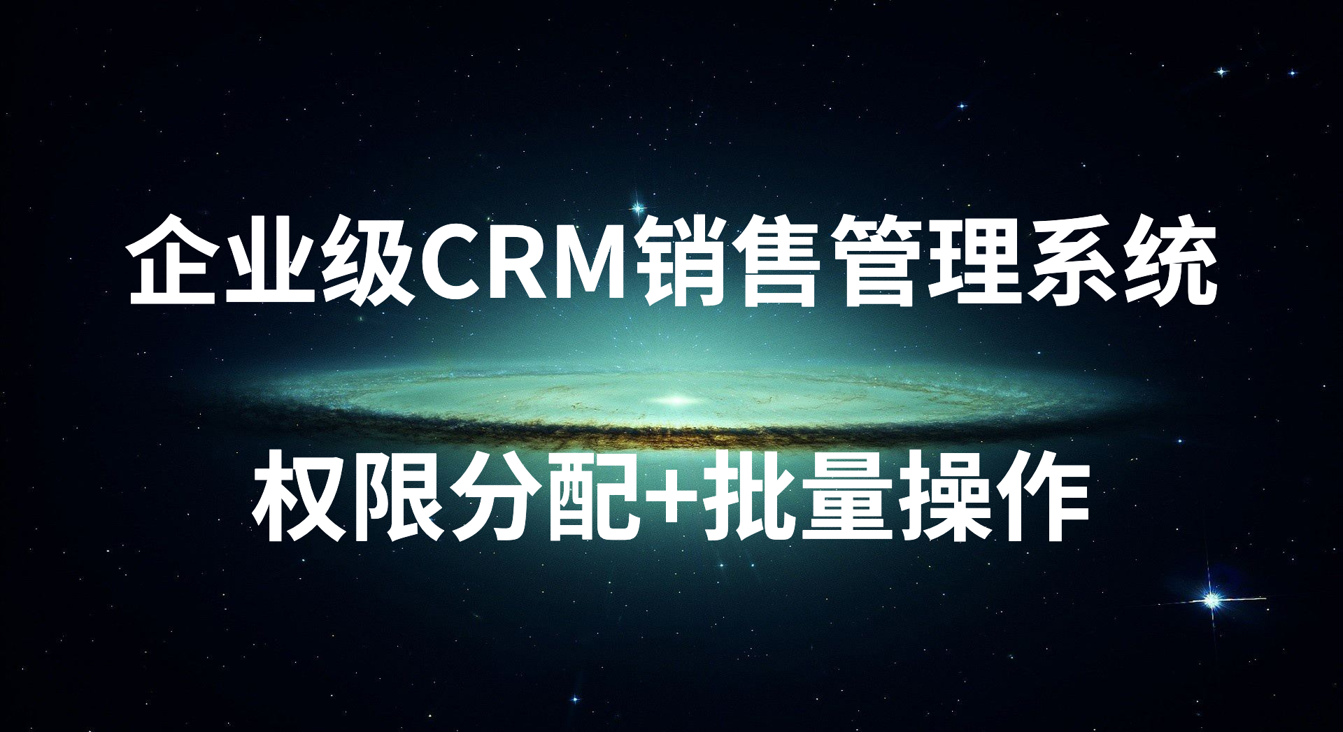 企业级CRM销售管理系统权限分配+批量操作