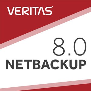 企业实战：Veritas NBU 8.0备份与还原（上）