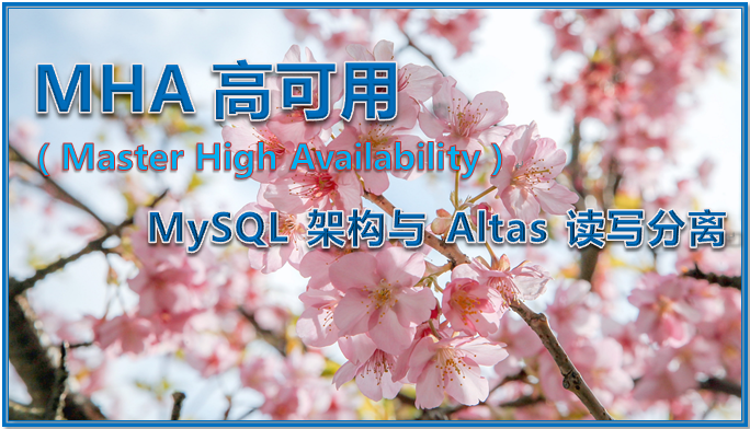 MHA 高可用 MySQL 架构与 Altas 读写分离
