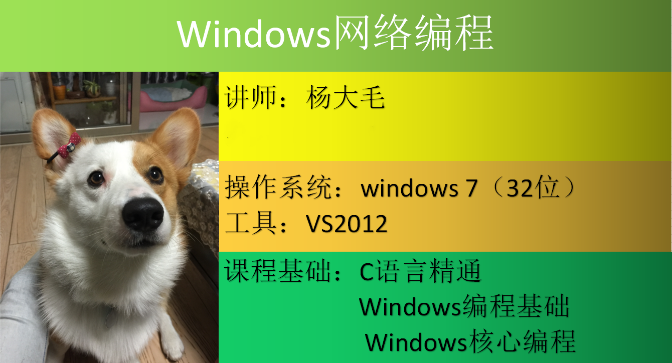  Windows Network Programming