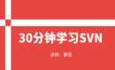 30分钟学习SVN-版本管理工具SVN入门视频教程