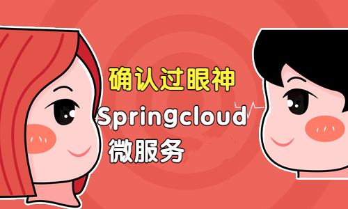 SpringCloud微服务+Redis5集群分布式:项目实战(学习班)