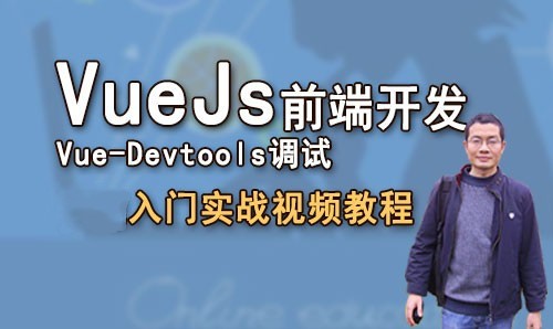Vue Devtools项目调试  Vue.Js前端入门实战视频教程