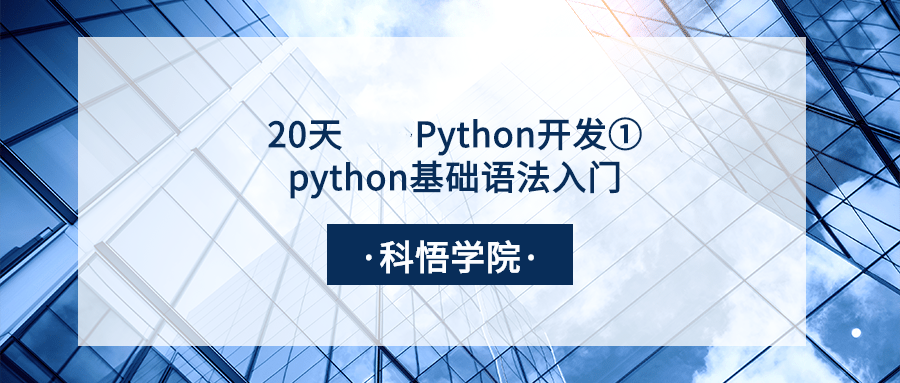 20天学习Python开发①python基础语法入门