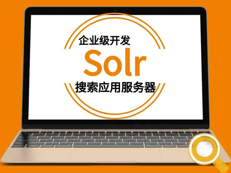 Solr企业级搜索引擎入门与提升含项目案例