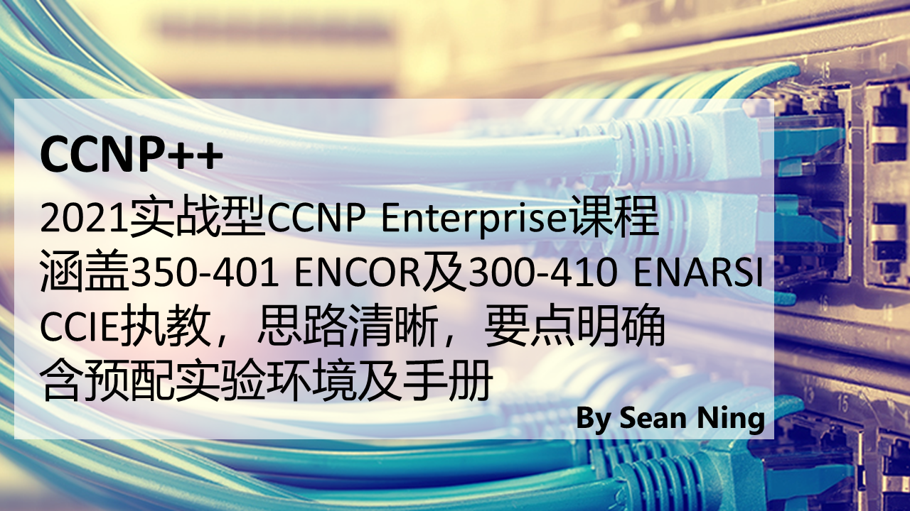  Cisco CCNP Enterprise Practical Tutorial (providing experimental environment and manual)