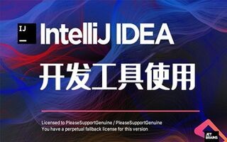 IntelliJ IDEA开发工具使用视频课程