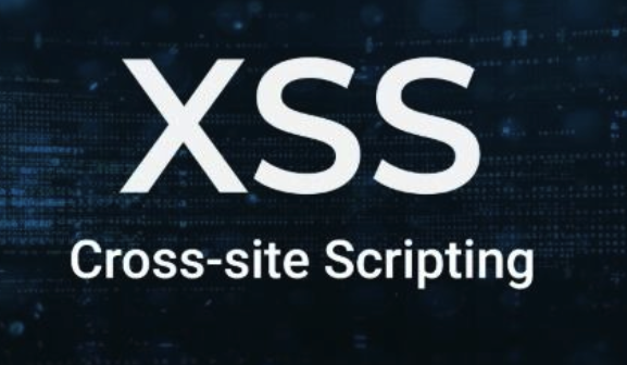 kali linux渗透测试/web安全/白帽子黑客/网络安全/存储型XSS和BeEF结合MSF