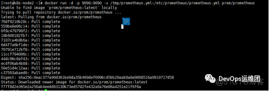 两种方式部署Prometheus_java_07