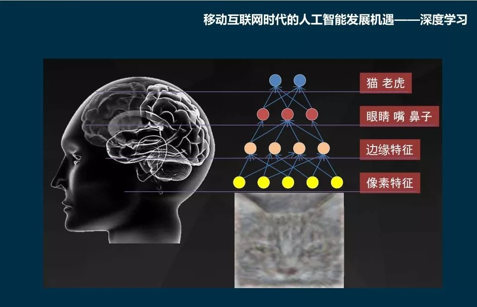 AI的发展：在金融行业的应用与机遇（附视频&PPT）_java_08