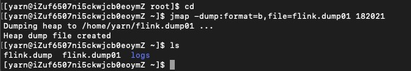 dump_分析内存_02