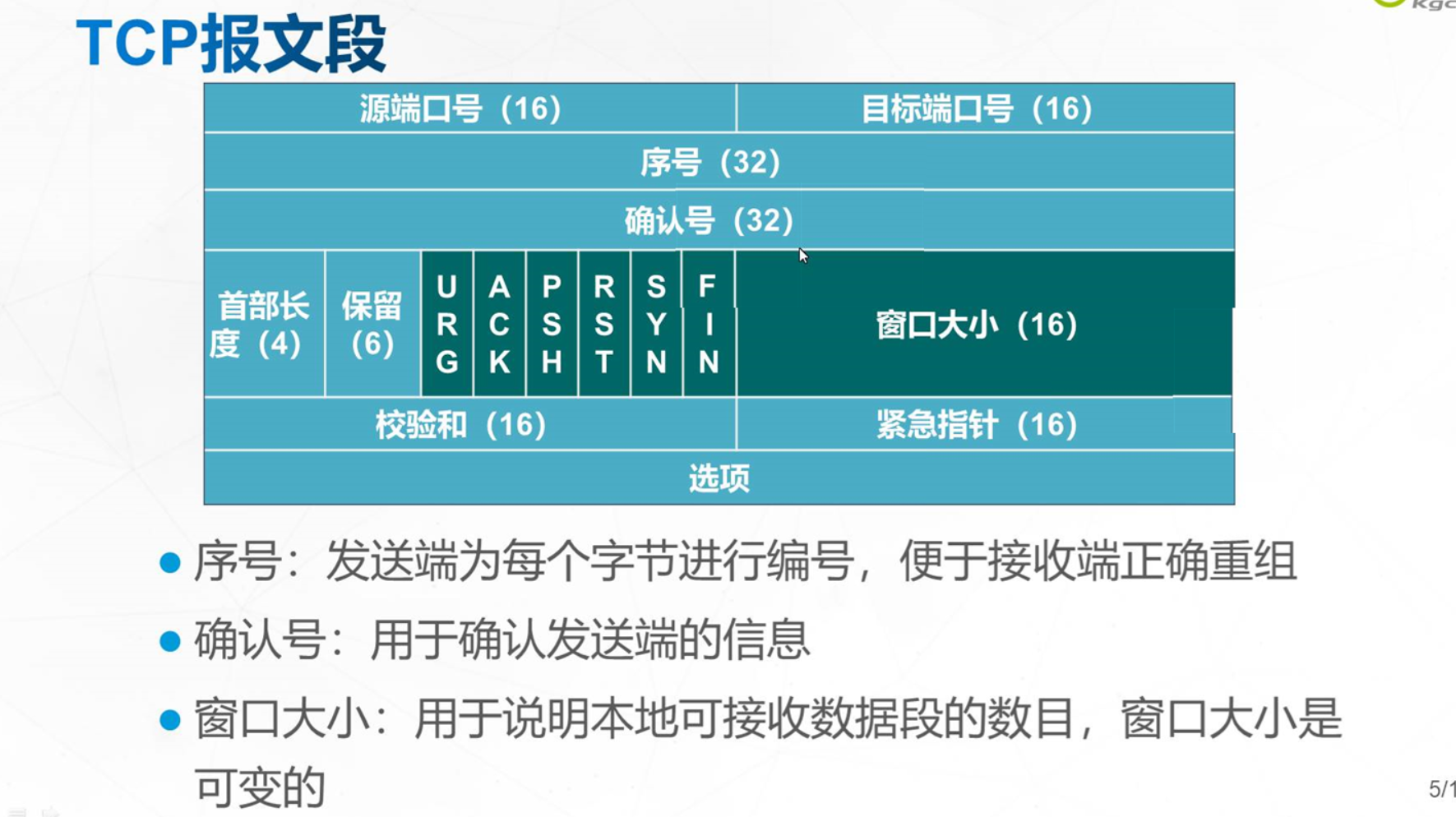 传输层协议_理论