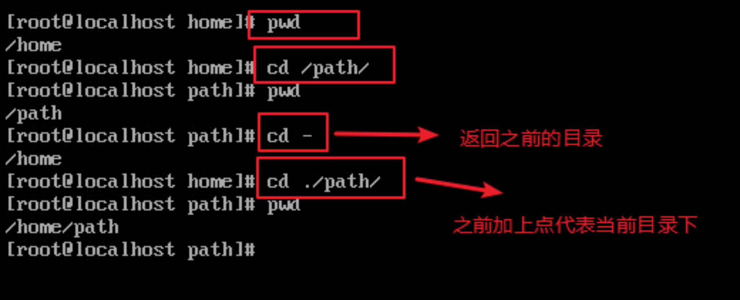 #yyds干货盘点#Linux基础命令及操作-目录管理_基础命令_05