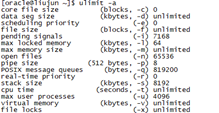 Hardlimit:maxinum open file descriptors 异常处理_vim_05