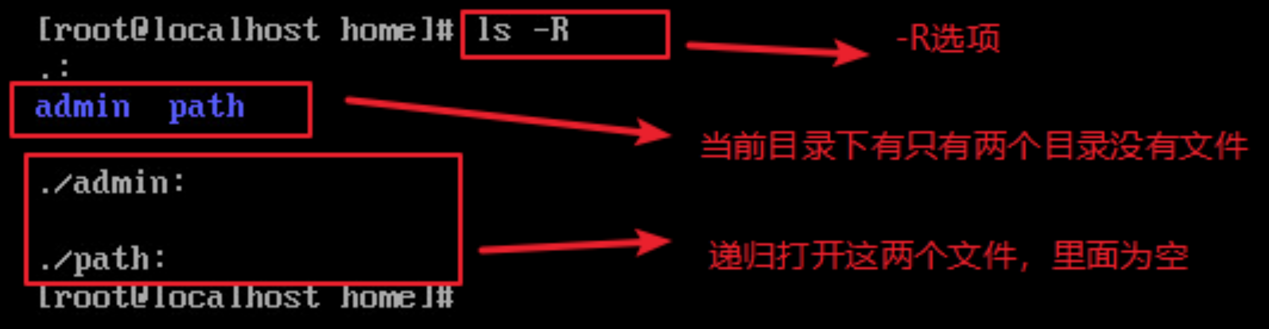 #yyds干货盘点#Linux基础命令及操作-目录管理_linux_02