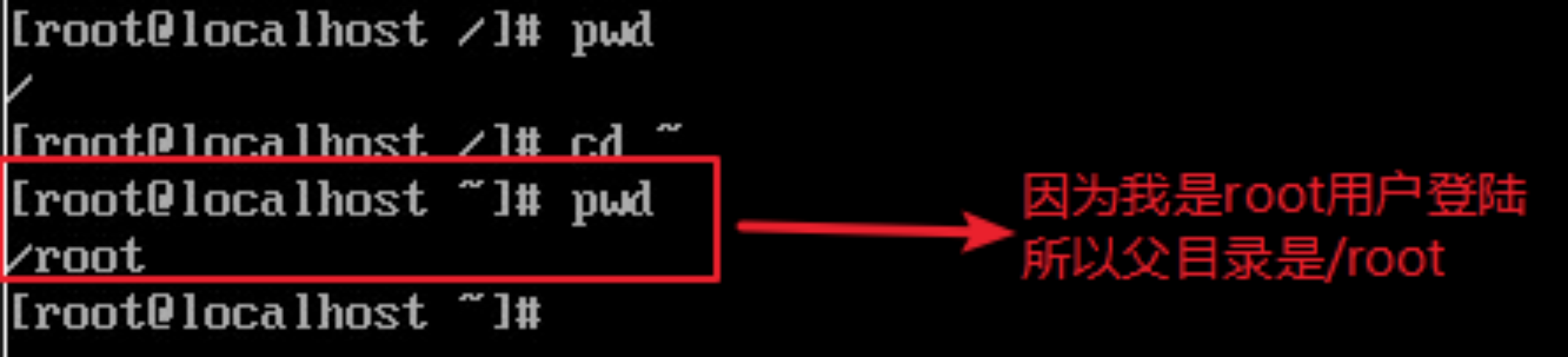 #yyds干货盘点#Linux基础命令及操作-目录管理_linux_04