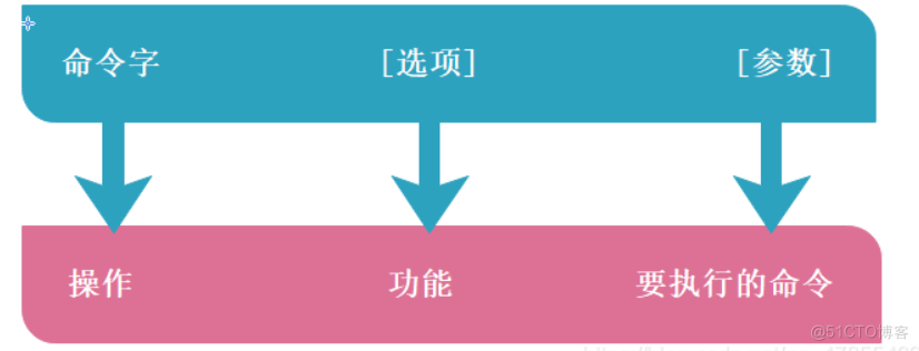 通用命令使用格式.png